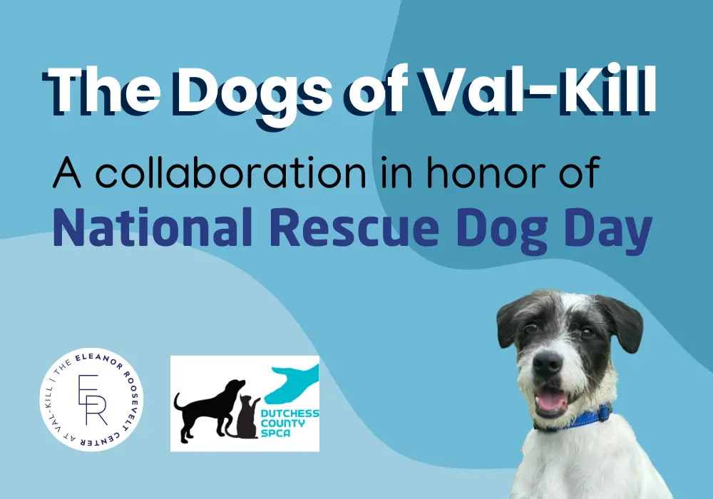 The Dogs of Val-Kill: A special collaboration with the Dutchess County SPCA